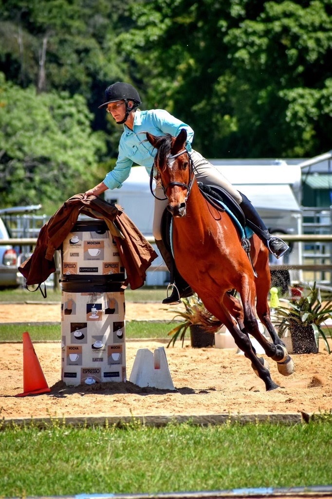 Horse and rider jumping a colourful oxer during a SEG Jump Club training day