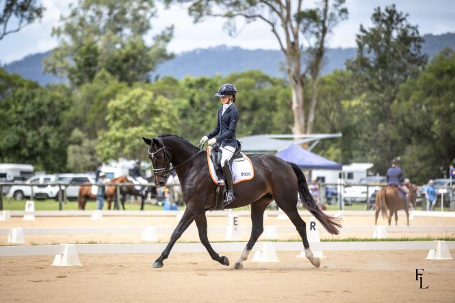 SEG member competing in dressage at Samford Equestrian Group