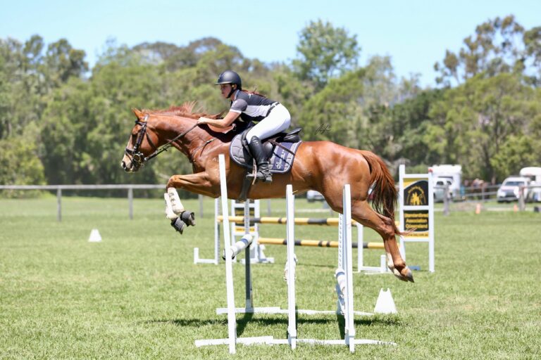 Rider and horse clearing a jump during a SEG Jump Club training day