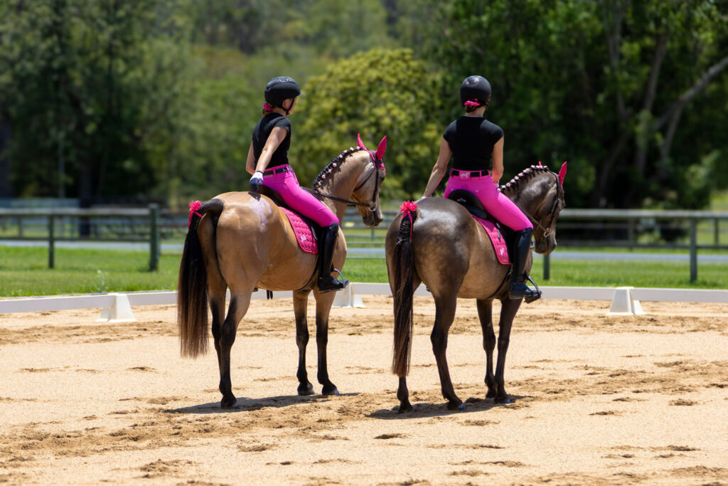 Two riders on horses enjoying a relaxed SEG Members' Day event
