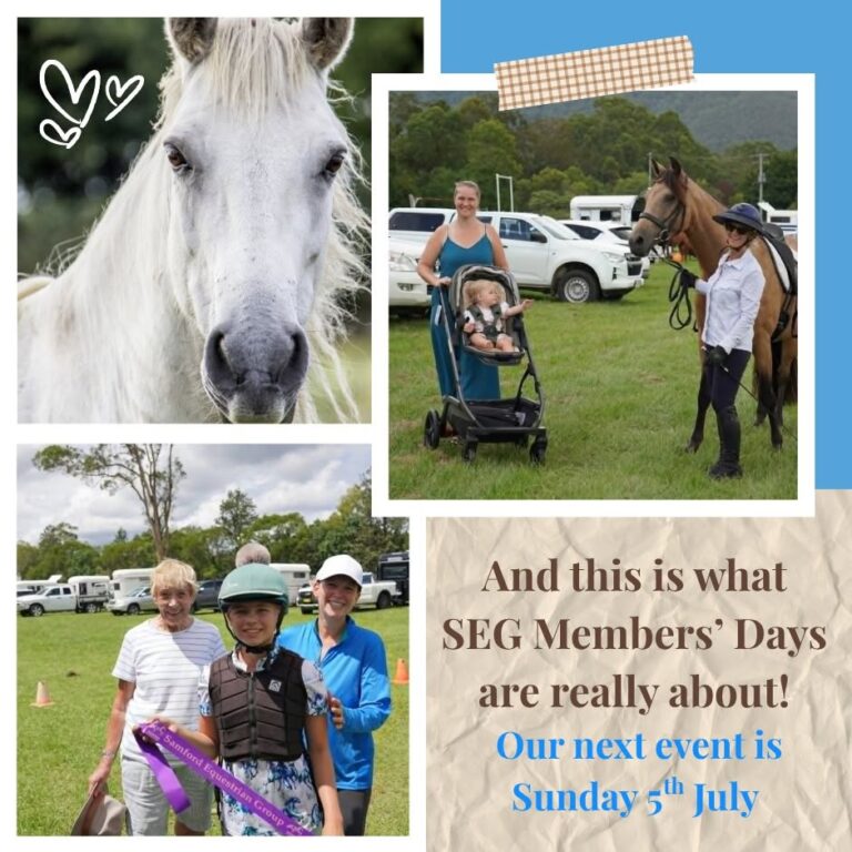 SEG Members FUN Day
