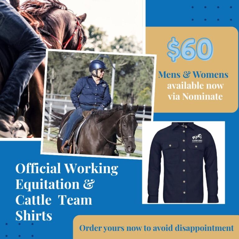 WE Shirts available