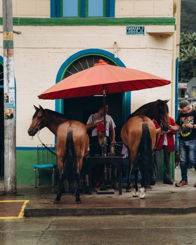 Scene of horses under an umbrella by a street cafe, with people gathered in a lively urban setting.