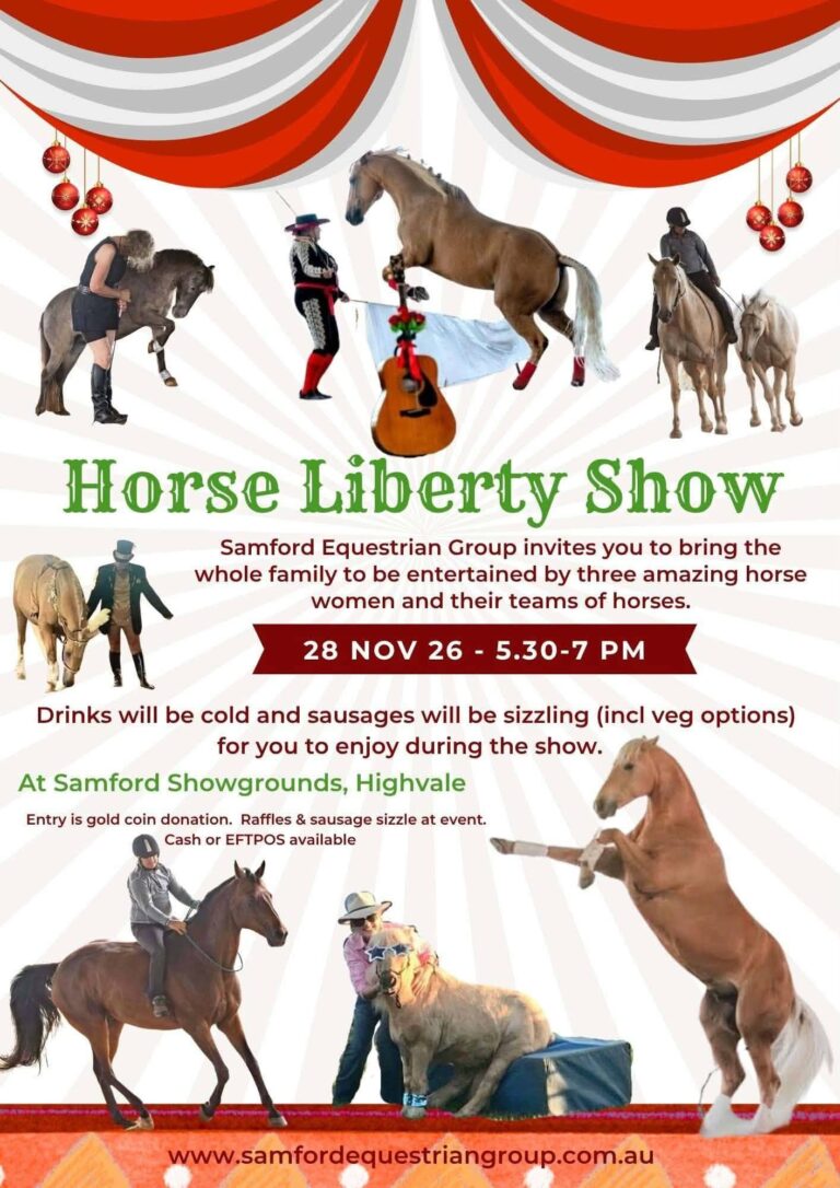 Horse Liberty Show